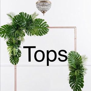 Blouses,T- shirts, Tops,Sweaters, Jackets,Blazers